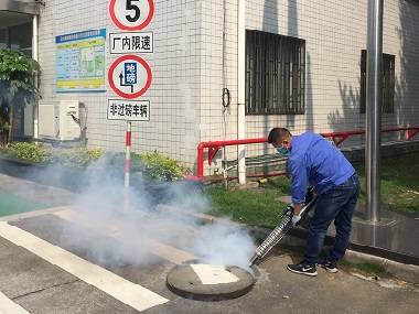 里水虫害防治公司定期杀虫灭鼠、虫害防治有什么好处