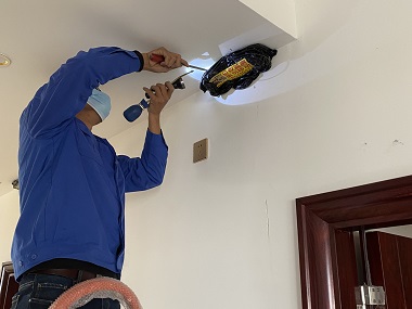 禅城预防白蚁中心该如何灭治房屋建筑中的白蚁