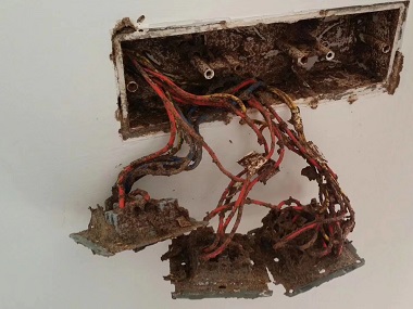 佛山除白蚁中心普通杀虫剂对白蚁有用吗？